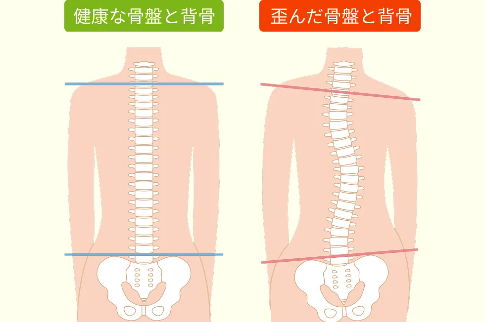 02：骨盤と背骨を整えるスペシャリストです。