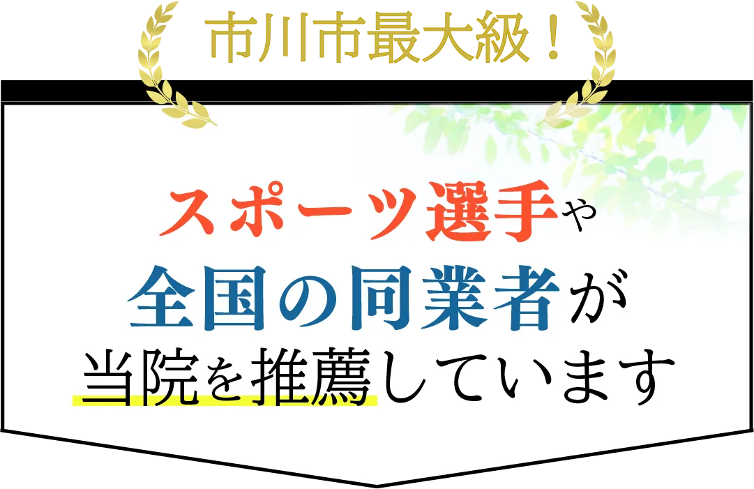 市川市最大級スポーツ選手や全国の同業者が当院を推薦しています
